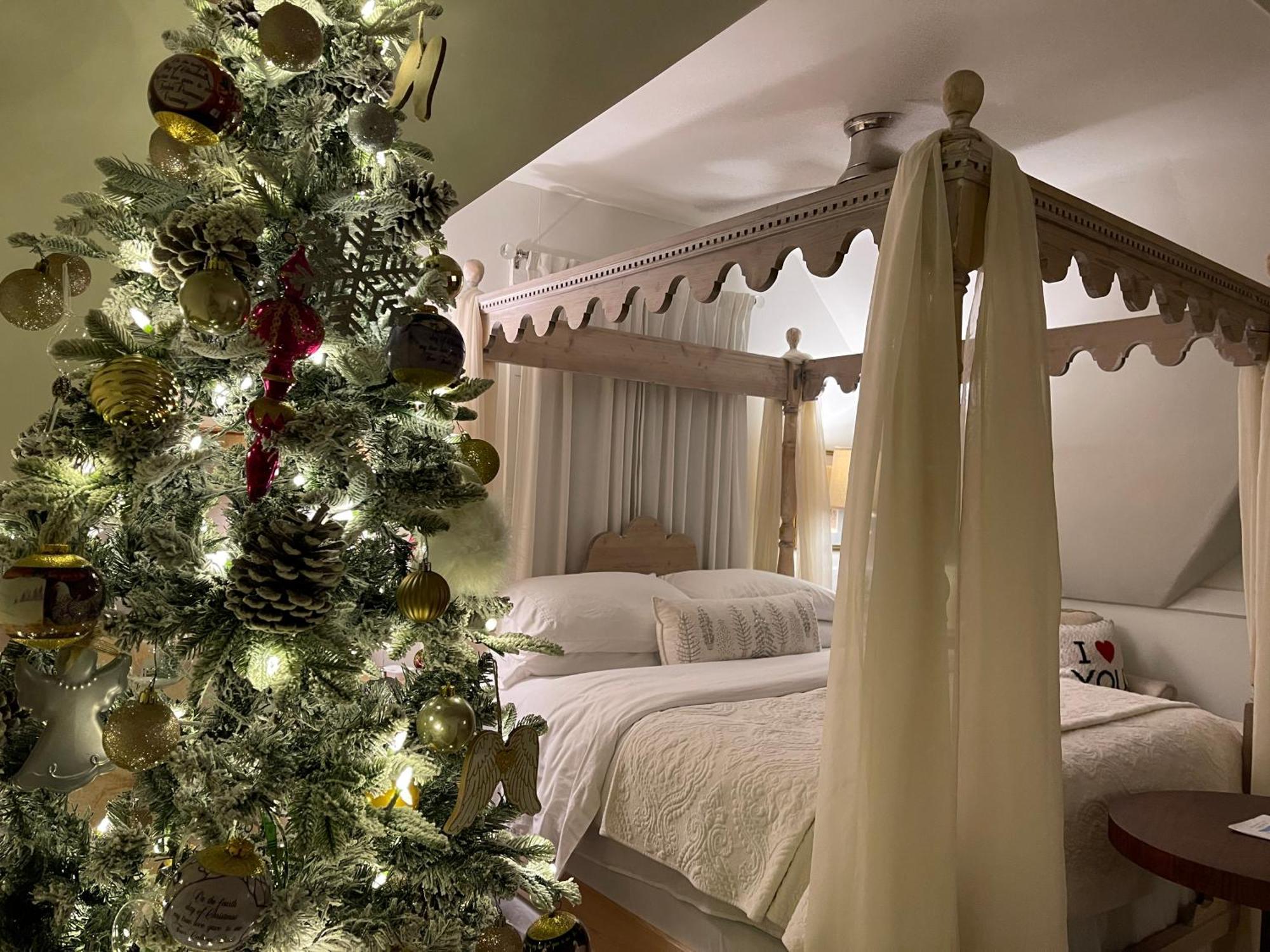 Chesnut Cottage Inn Bed & Breakfast Колумбія Екстер'єр фото
